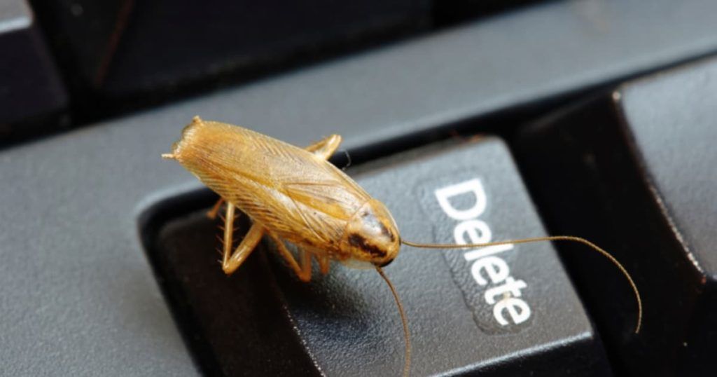 Уничтожение тараканов в офисе в Волжском